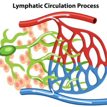 Why Opt Cupping Therapy for Lymphatic Drainage System?