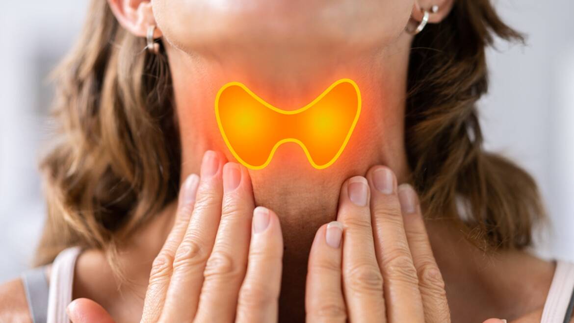 Hijama for Thyroid Imbalance – Can Cupping improve Metabolism and Energy?